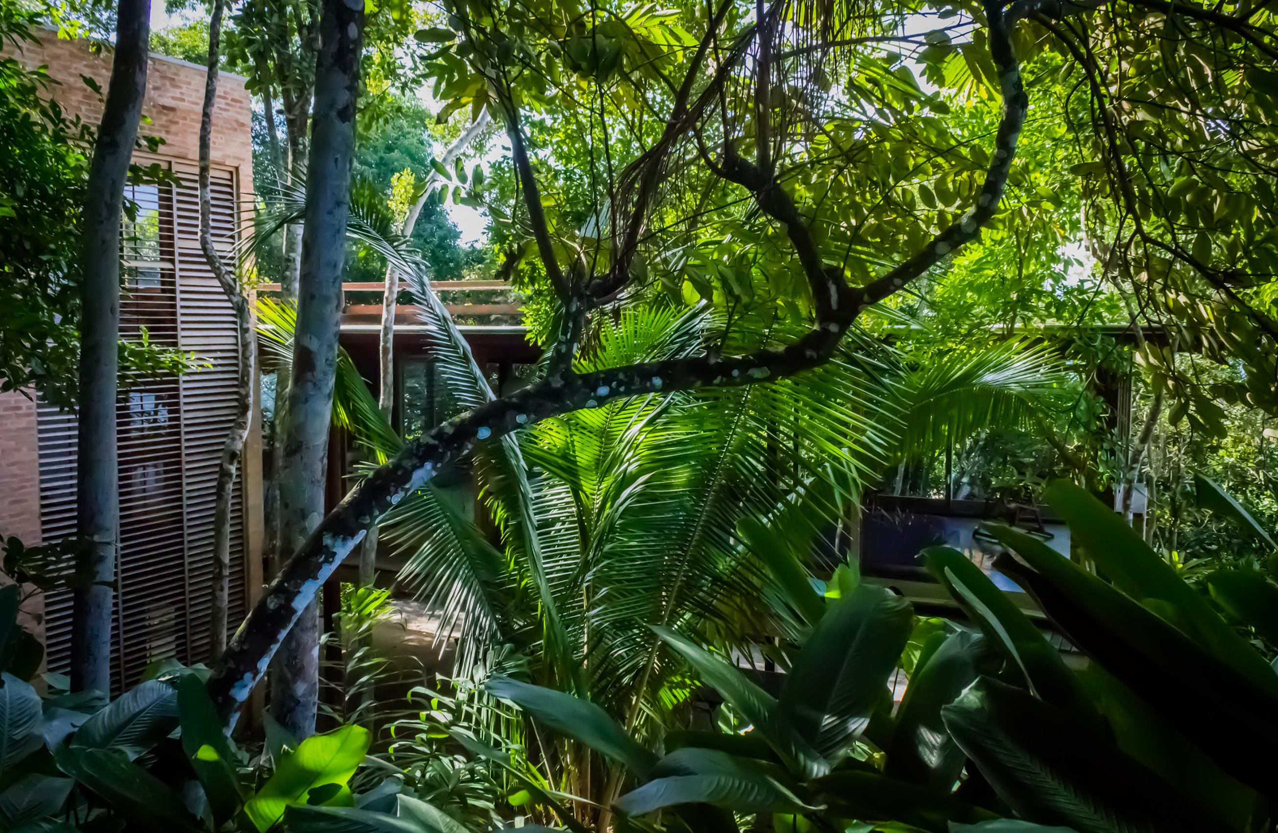 Projeto de Arquitetura Casa de Praia, Nagle Cecco Arquitetos, Projetos de casas, Arquitetura e Natureza